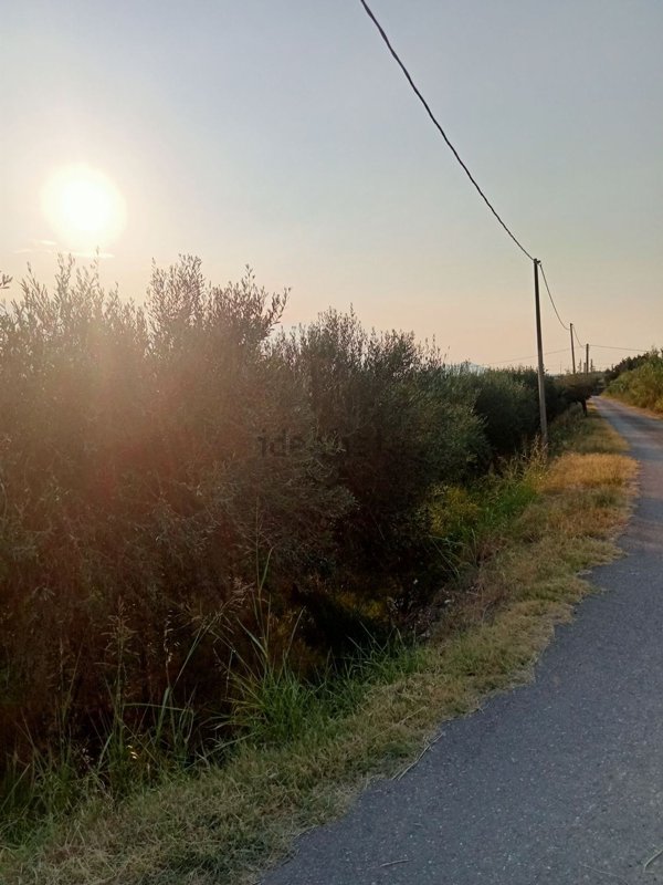 appartamento in vendita a Rocca Imperiale