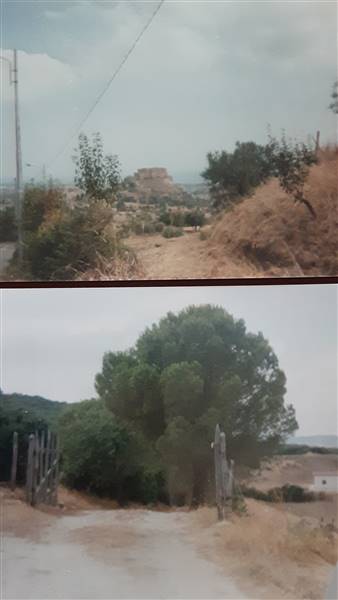 terreno agricolo in vendita a Rocca Imperiale