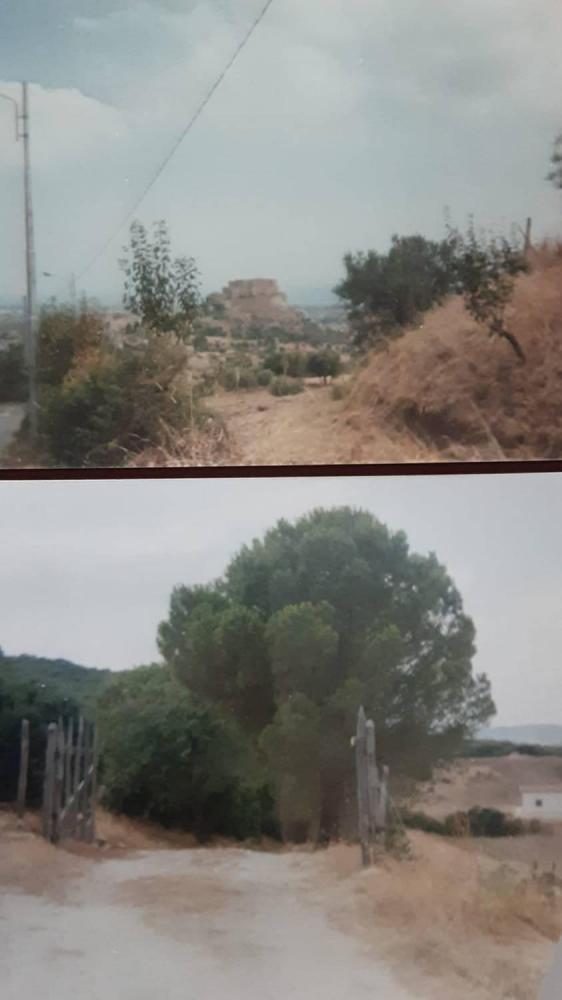 terreno agricolo in vendita a Rocca Imperiale