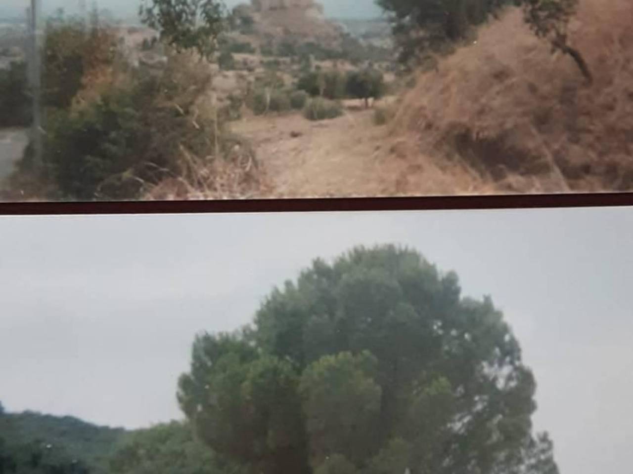 terreno agricolo in vendita a Rocca Imperiale