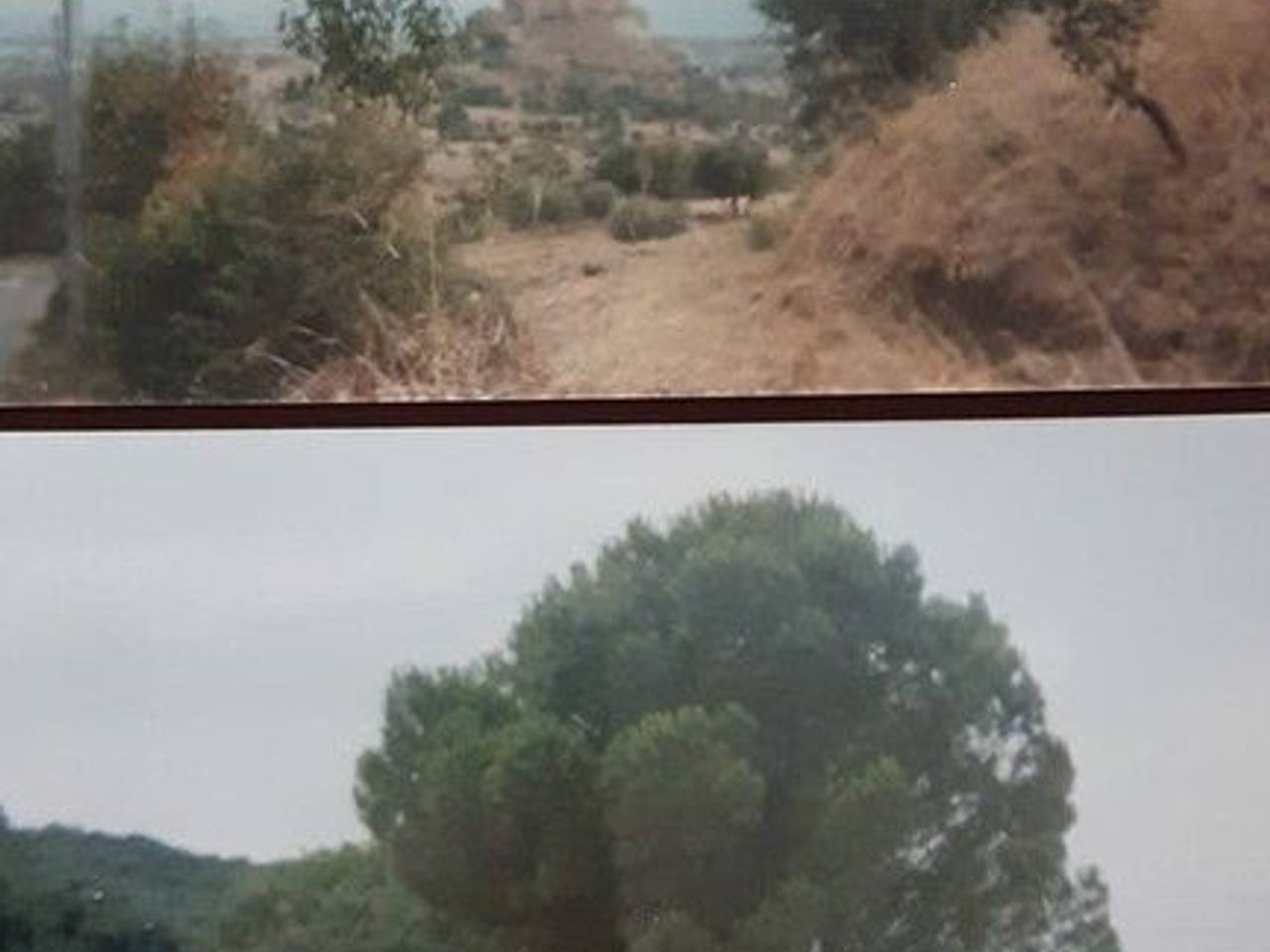 terreno agricolo in vendita a Rocca Imperiale