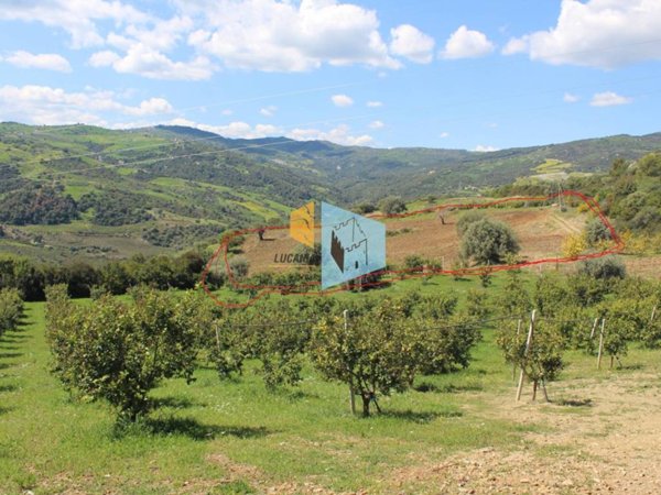 terreno agricolo in vendita a Rocca Imperiale