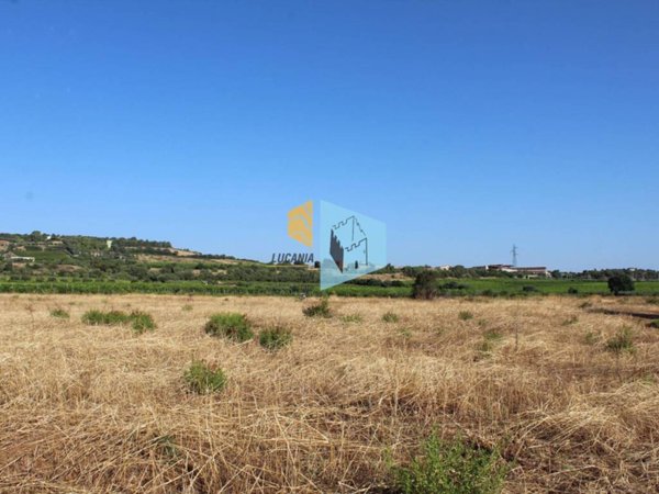 terreno agricolo in vendita a Rocca Imperiale