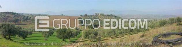 terreno agricolo in vendita a Roggiano Gravina