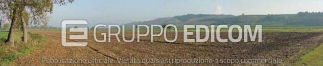 terreno agricolo in vendita a Roggiano Gravina