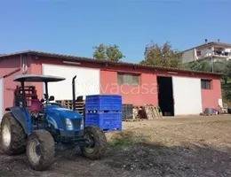 locale commerciale in vendita a Roggiano Gravina