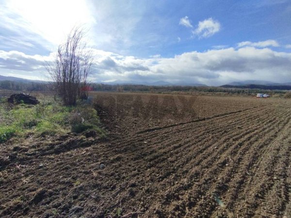 terreno agricolo in vendita a Roggiano Gravina