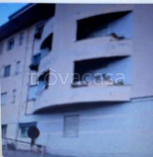 appartamento in vendita a Rogliano