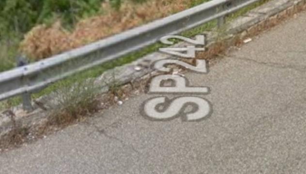 appartamento in vendita a Rogliano