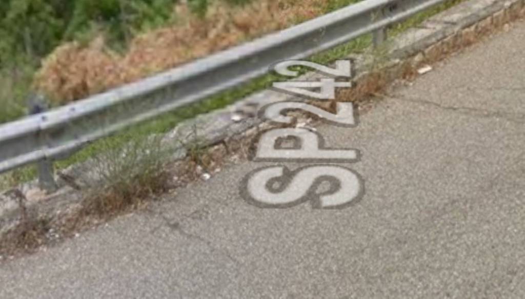 appartamento in vendita a Rogliano