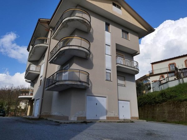 appartamento in vendita a Rogliano