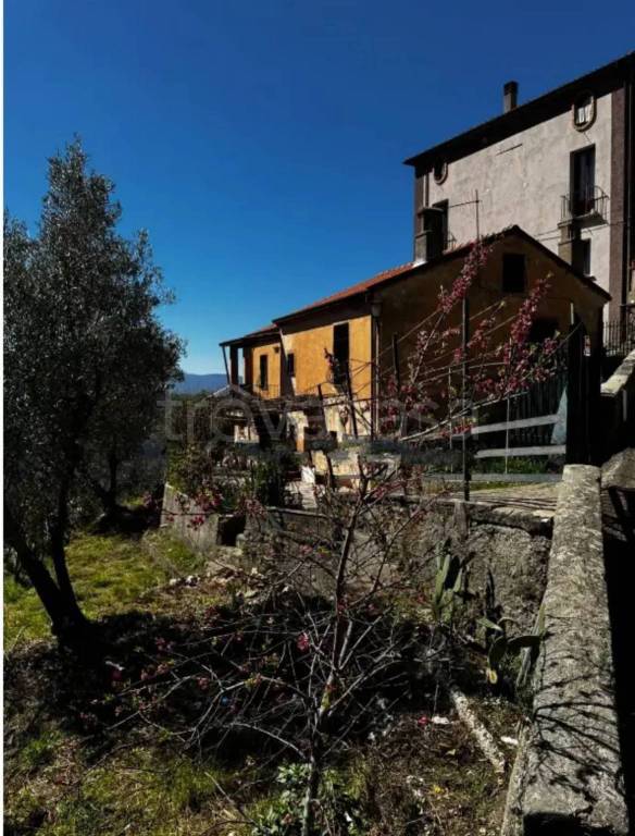 casa indipendente in vendita a Rogliano