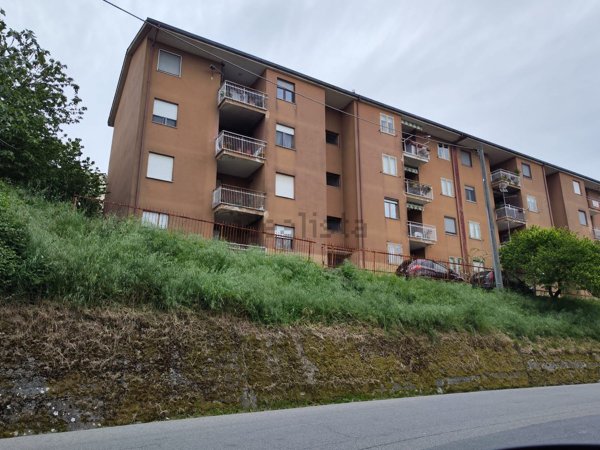 appartamento in vendita a Rogliano