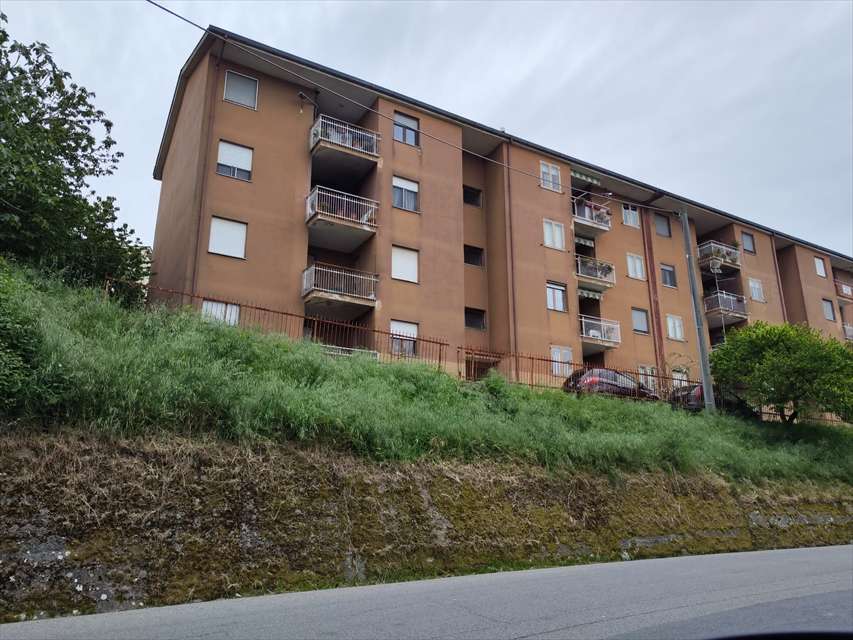 appartamento in vendita a Rogliano