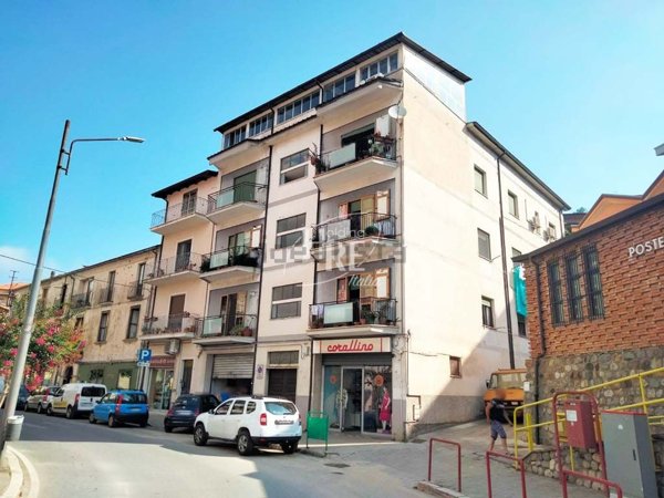 appartamento in vendita a Rogliano