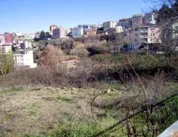 ufficio in vendita a Rogliano