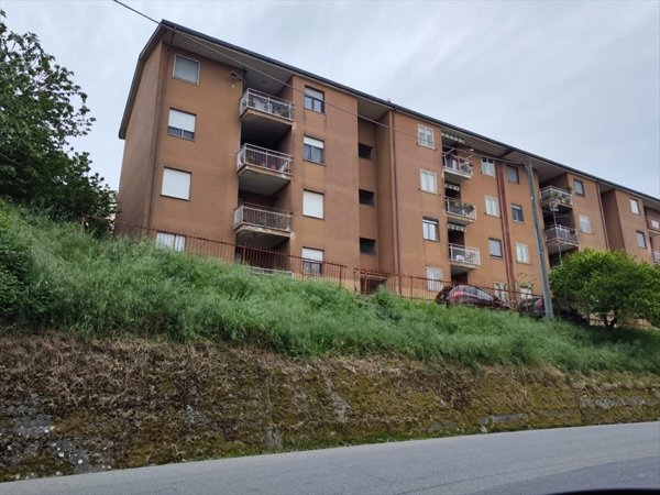 appartamento in vendita a Rogliano
