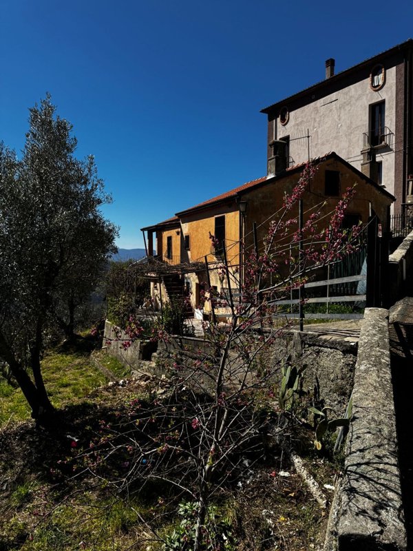 casa indipendente in vendita a Rogliano