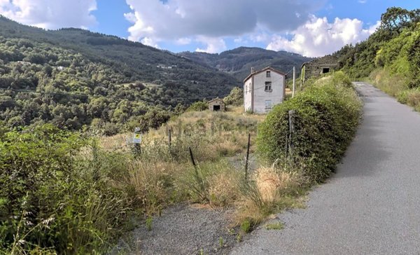 terreno agricolo in vendita a Rogliano