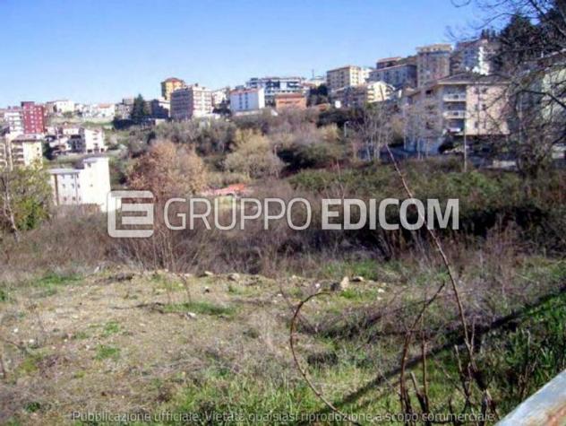 terreno agricolo in vendita a Rogliano