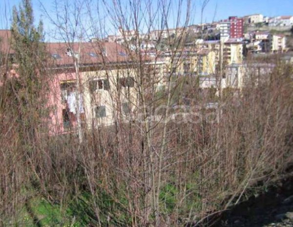 terreno agricolo in vendita a Rogliano