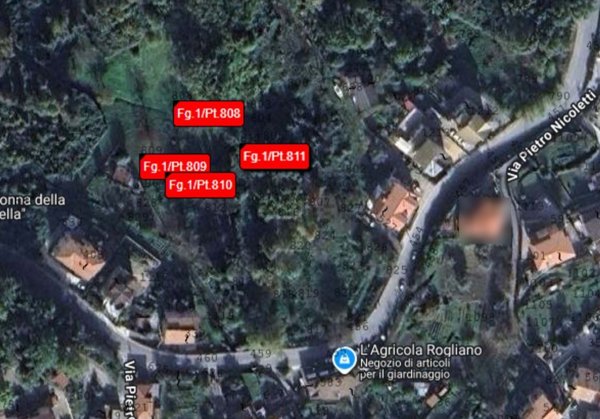 negozio in vendita a Rogliano in zona Manche