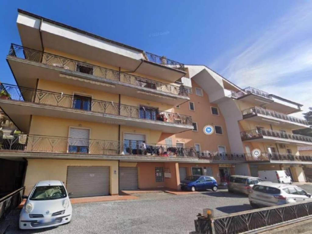 negozio in vendita a Rogliano in zona Manche