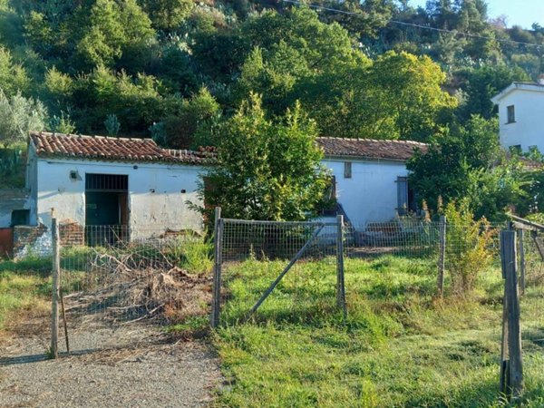 casa indipendente in vendita a Rose