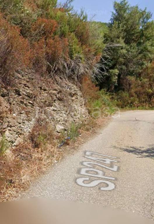 terreno agricolo in vendita a Rose