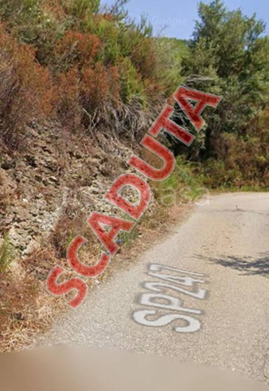 terreno agricolo in vendita a Rose