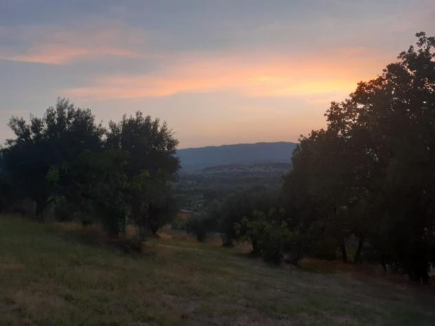 terreno agricolo in vendita a Rose
