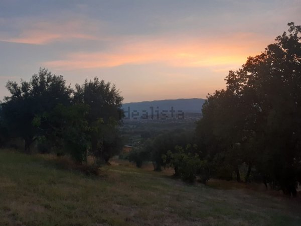 terreno agricolo in vendita a Rose