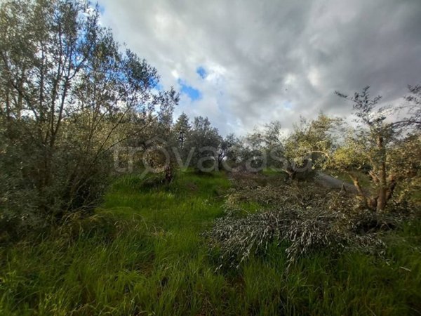 terreno agricolo in vendita a Rose