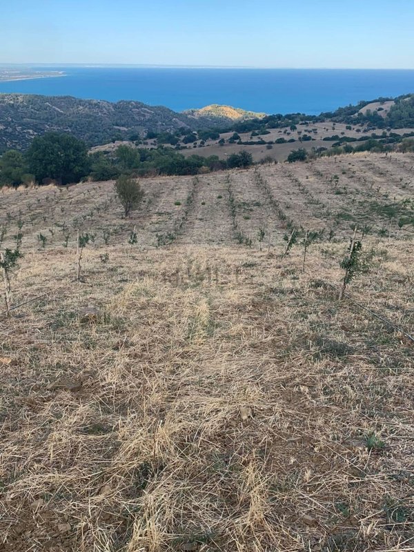 terreno agricolo in vendita a Roseto Capo Spulico