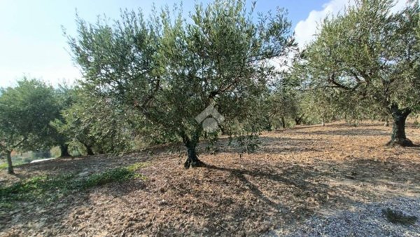 casa semindipendente in vendita a San Demetrio Corone