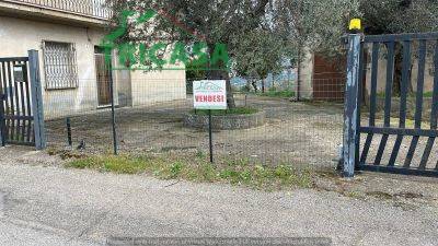 casa indipendente in vendita a San Demetrio Corone in zona Macchia Albanese