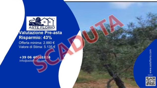 terreno agricolo in vendita a San Demetrio Corone in zona Sofferetti