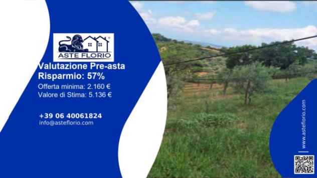 terreno agricolo in vendita a San Demetrio Corone in zona Sofferetti