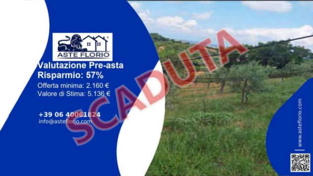 terreno agricolo in vendita a San Demetrio Corone in zona Sofferetti