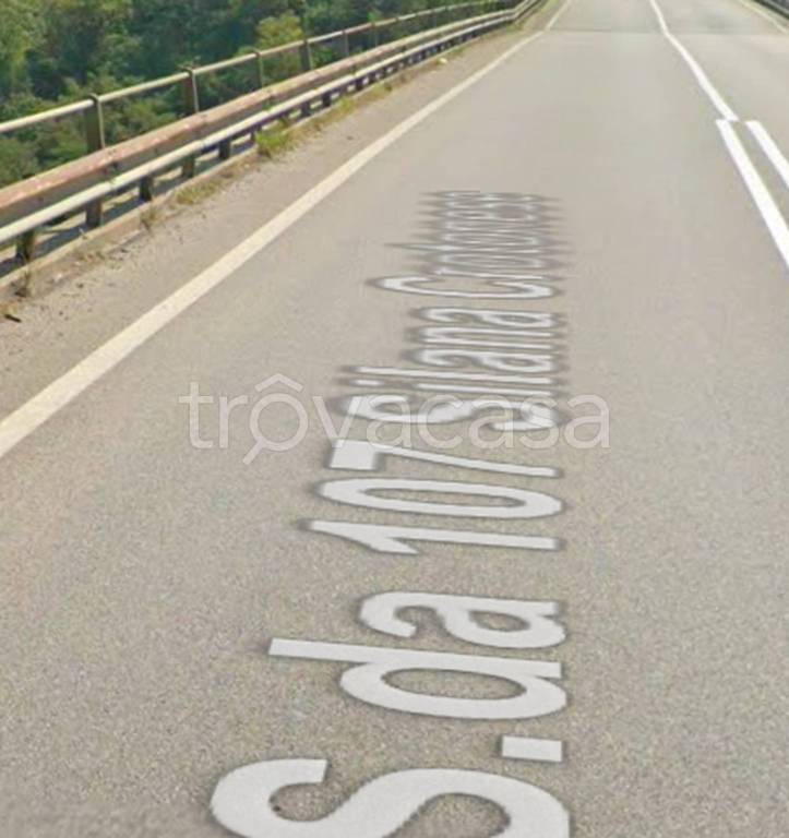 terreno agricolo in vendita a San Fili