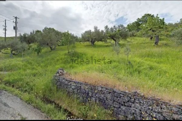 casale in vendita a San Fili