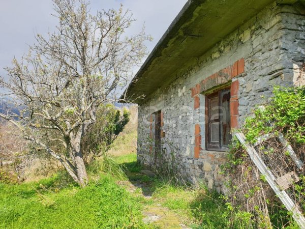 terreno agricolo in vendita a Sangineto