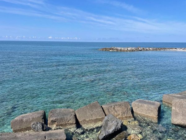 appartamento in vendita a Sangineto