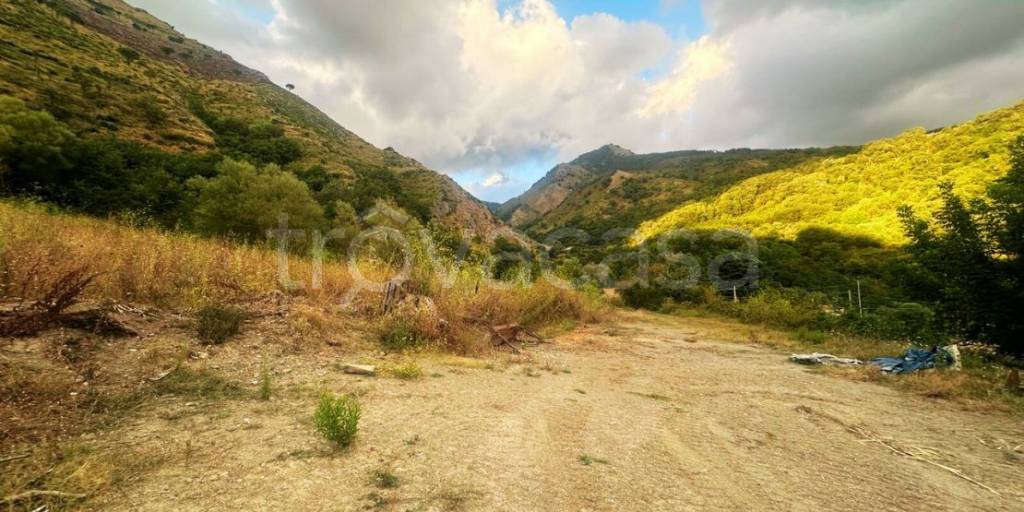 terreno agricolo in vendita a Sangineto