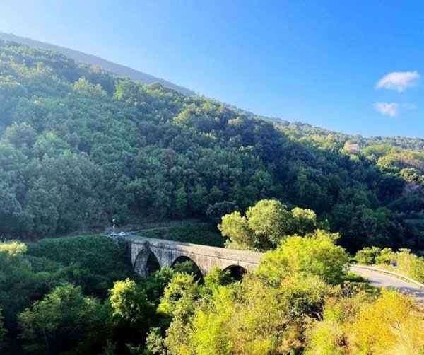 appartamento in vendita a Sangineto