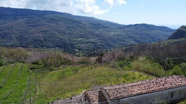 esavano in vendita a Sangineto