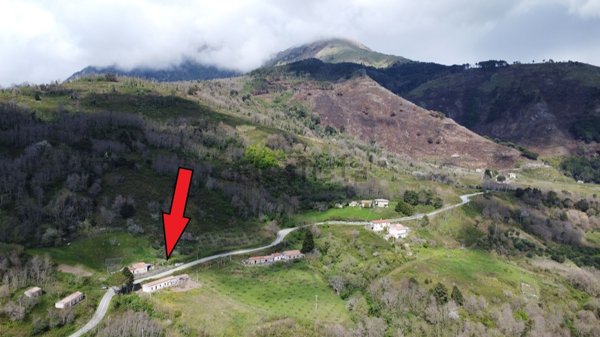 pentavano in vendita a Sangineto