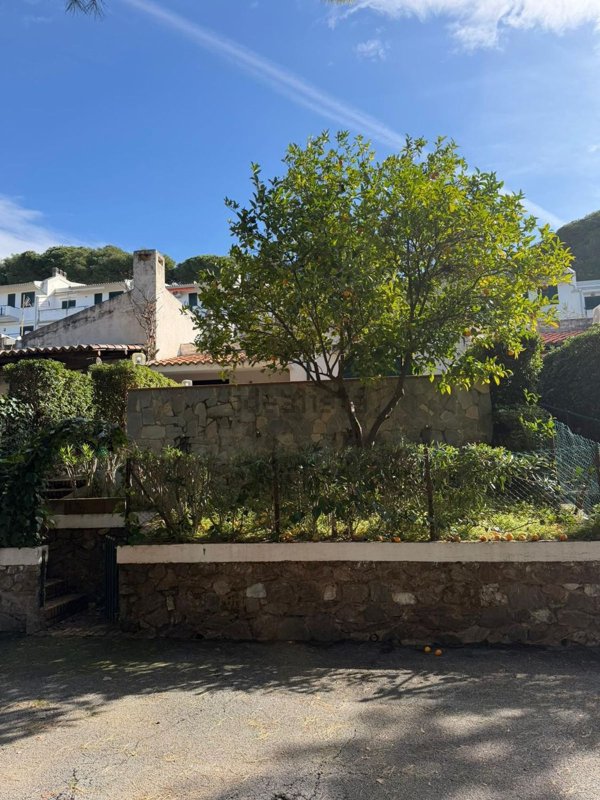 appartamento in vendita a Sangineto