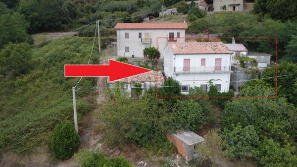 casa semindipendente in vendita a Sangineto