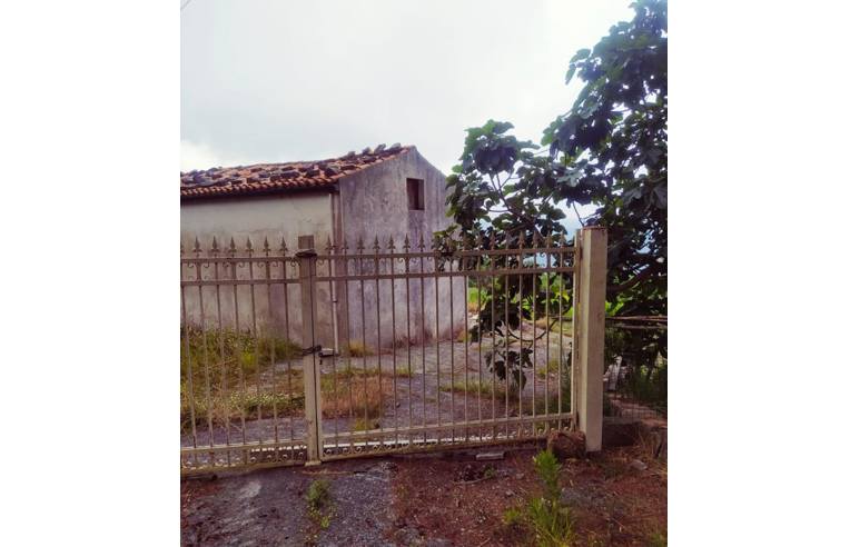 casa indipendente in vendita a Sangineto